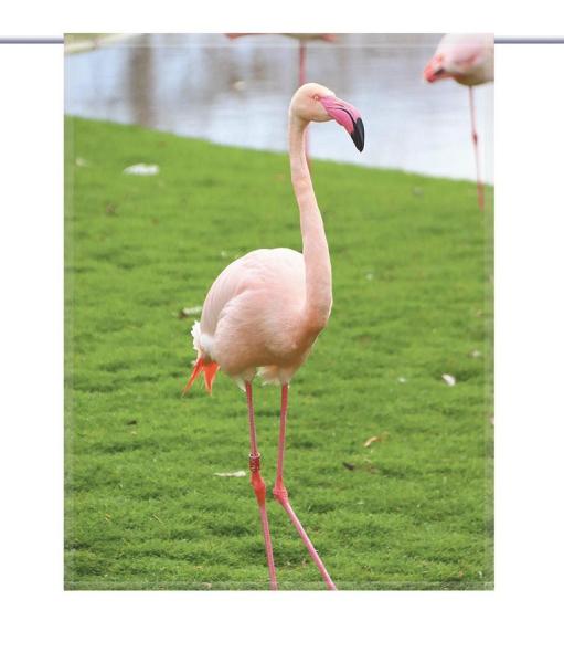 Scheibenhänger Flamingo rechteckig